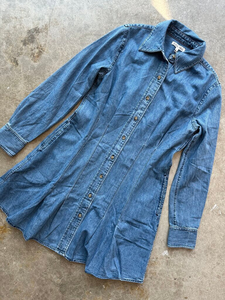 Alex Mill women Dress Denim M